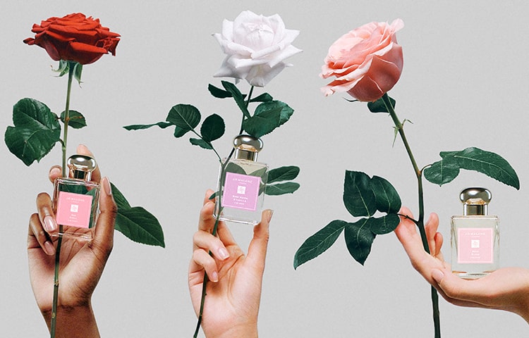 Mad About The Rose