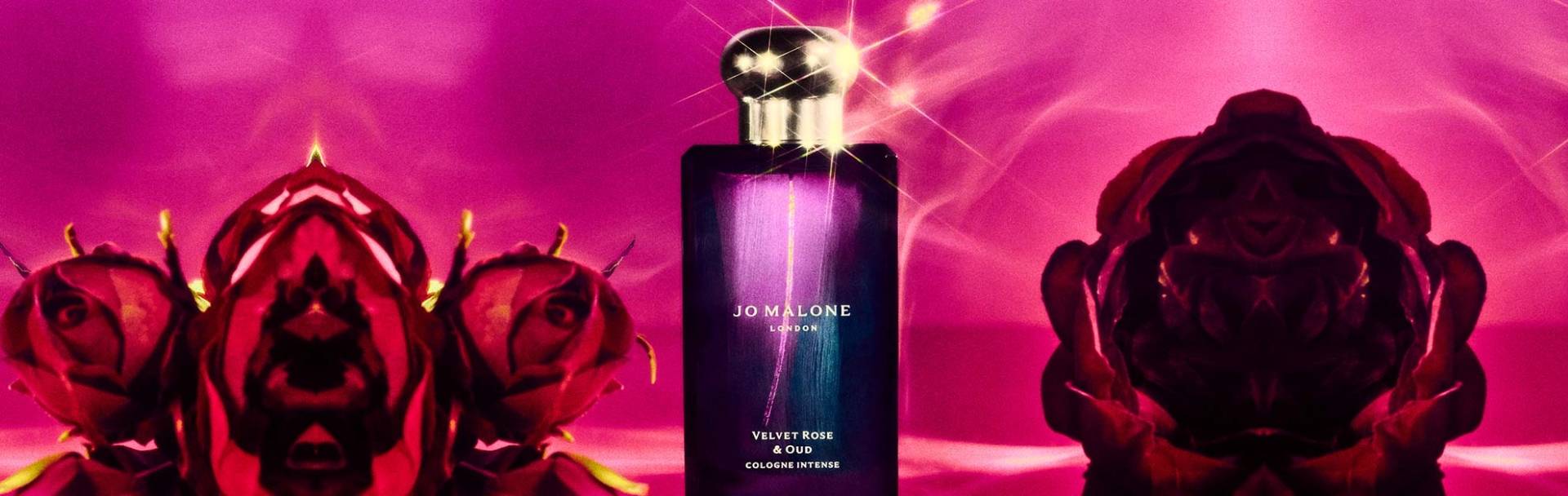 Jo malone velvet rose on sale and oud rich extract