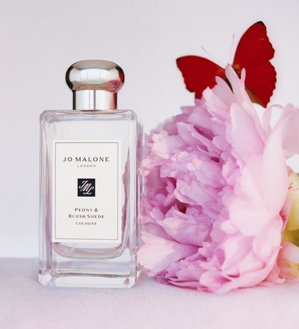 Peony Blush & Suede